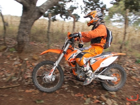 Ameca 2015_14