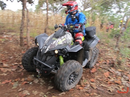 Ameca 2015_15