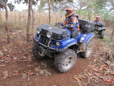 Ameca 2015_27