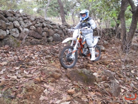 Ameca 2015_8