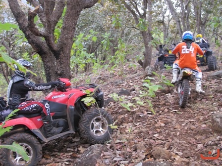 Ameca 2015_17