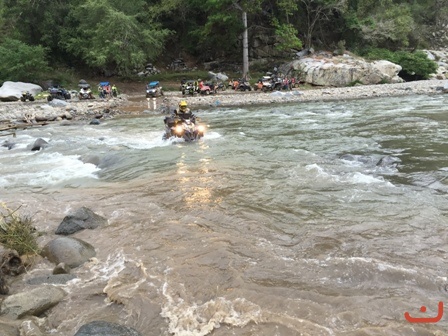 Barra_45