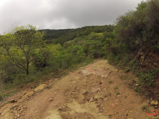 Juchipila 2015_8