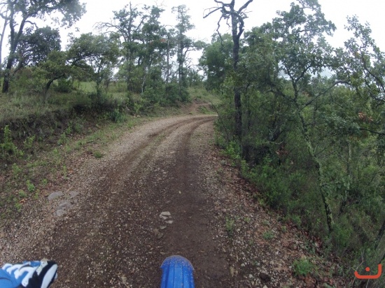 Juchipila 2015_11