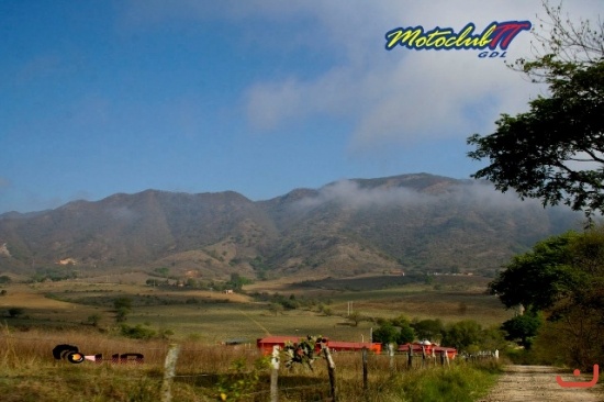 Talpa - Vallarta_32
